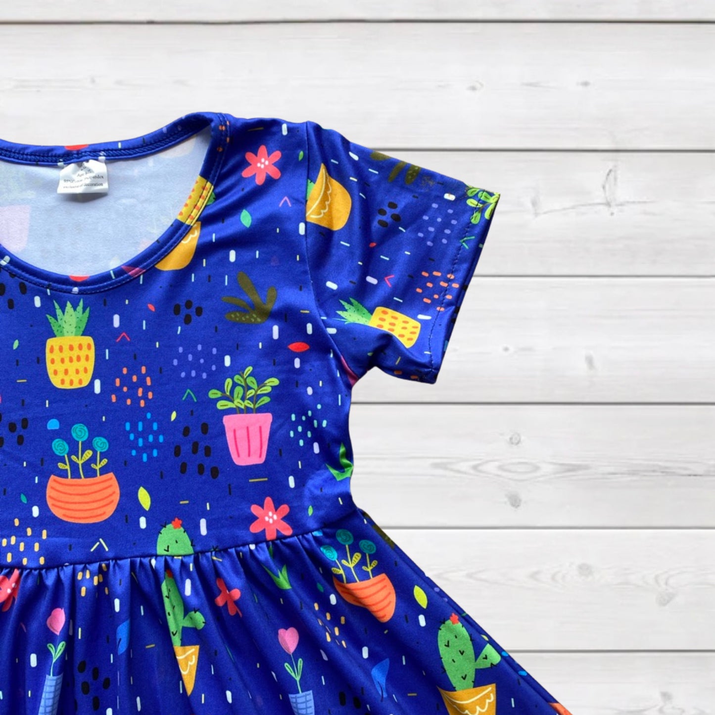 Sparkledots Raining Cactus & Flowers Twirly Dress